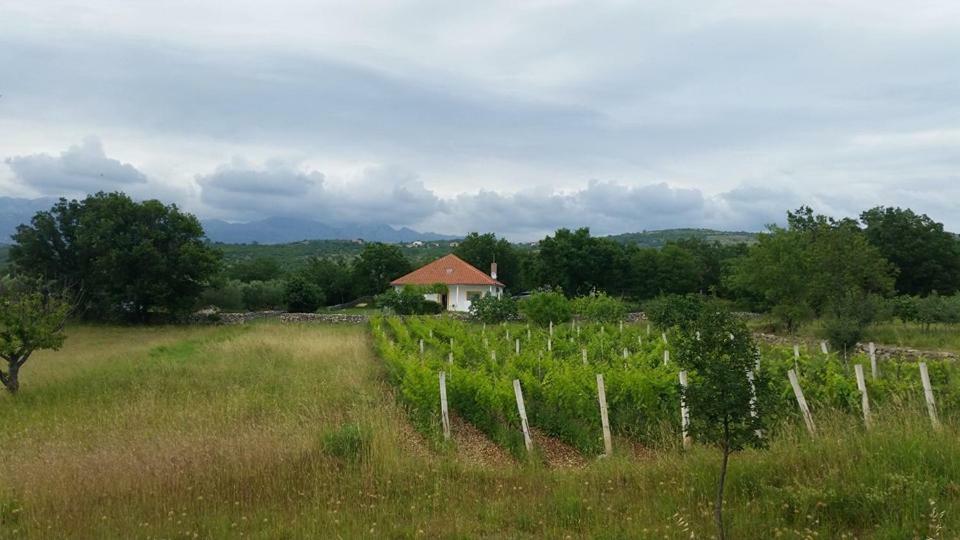 Holiday House Tunjarice Обровац Екстериор снимка